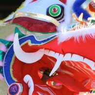 lunar new year dance dragon-(2)