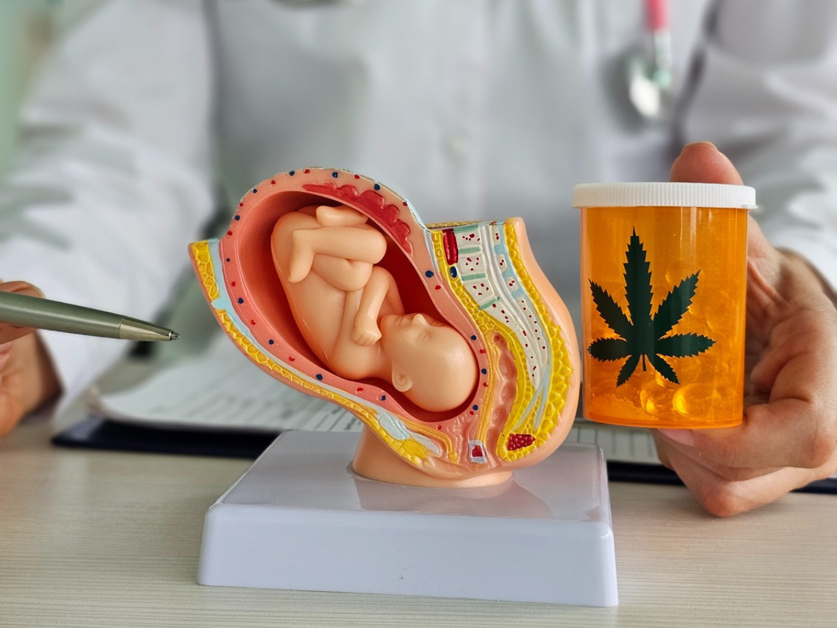 Model of baby in uterus is sitting on a desk next to a pill bottle that has a marijuana leaf next to it. Doctor's hands can be seen in foreground pointing to both