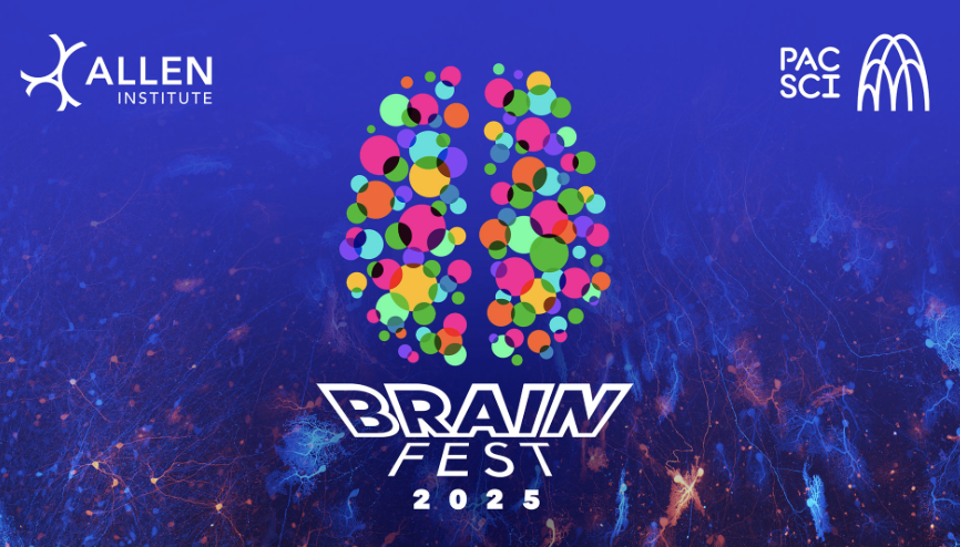brain fest