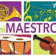 mini maestros