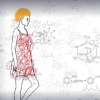 watch movie about menopause