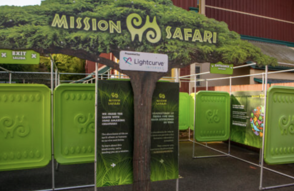 Mission safari maze
