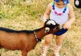 little-girl-with-goat-