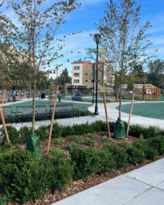 Cheryl Chow Park multigenerational