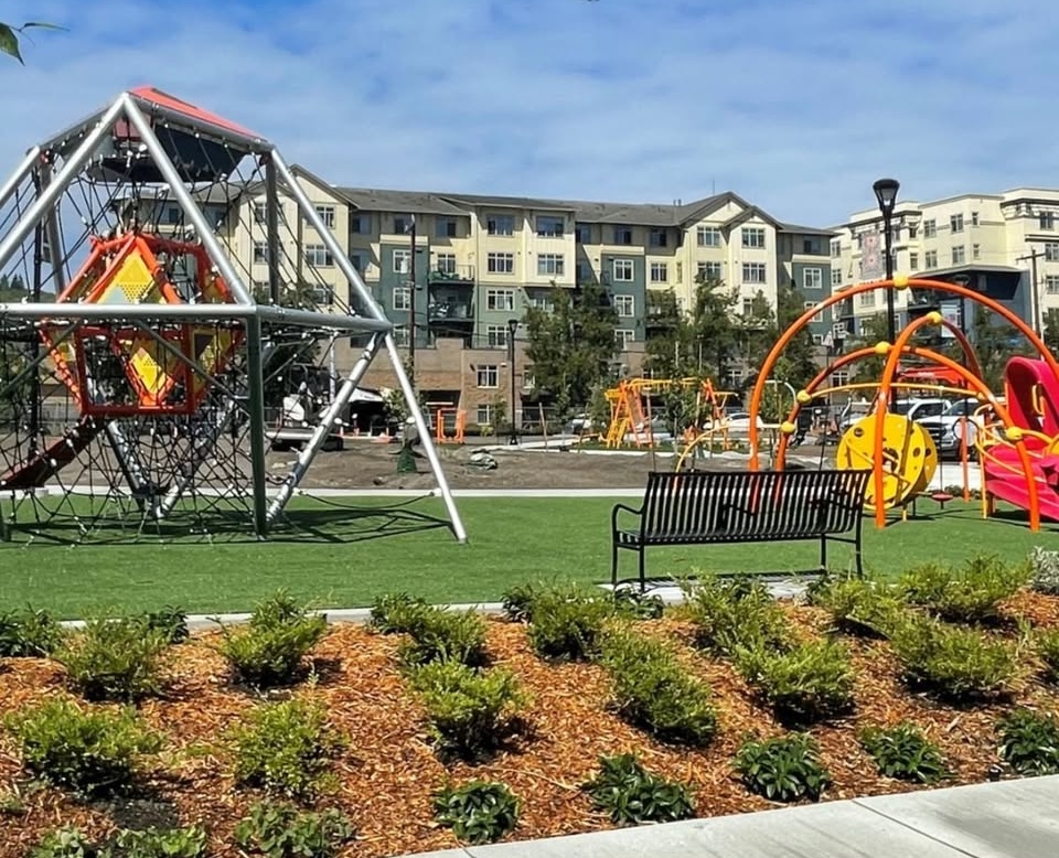 Cheryl Chow Park