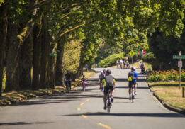 Bicycle Weekend on Lake Washington Boulevard is Back