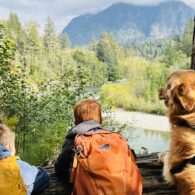 Two kids and dog look over a serene mountain river, with trees and mountaintops in the distance