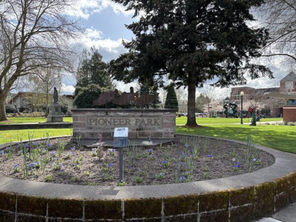 Pioneer Park (playground in distance)