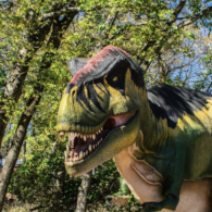 Dinosaur discovery exhibit Woodland Park zoo