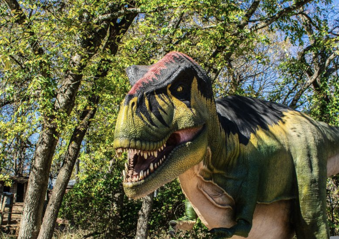 Dinosaur discovery exhibit Woodland Park zoo