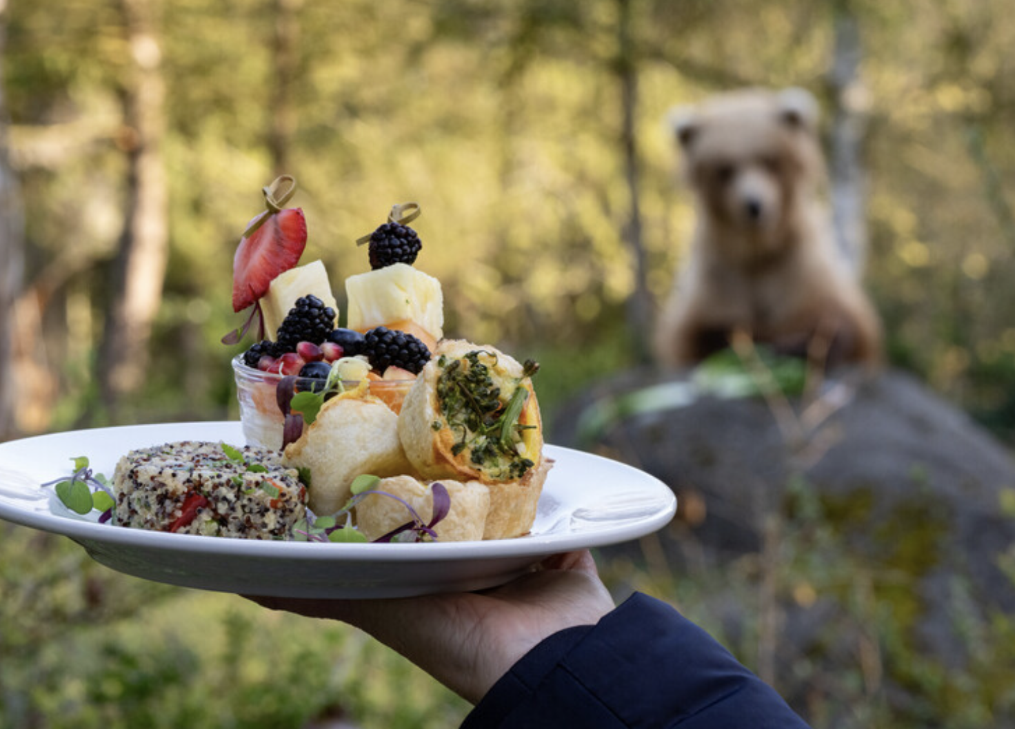 papa bear brunch at the zoo