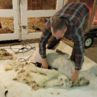 Fleece to Fabric Shearing