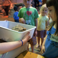 zoomazium at woodland park zoo