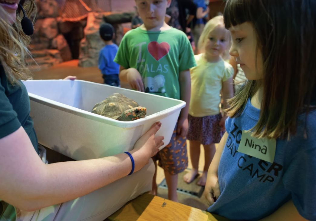 zoomazium at woodland park zoo