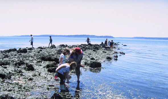 Seattle Aquarium Beach Naturalist at Charles Richey Beach - Seattle's Child