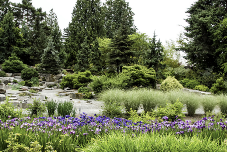 bellevue botanical garden free garden tours