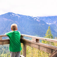 View from the top of Heybrook Lookout fire tower