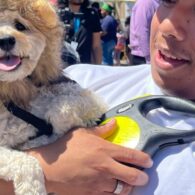 pawfest