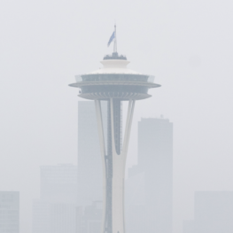 wildfire smoke safety