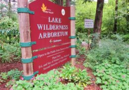 lake wilderness arboretum