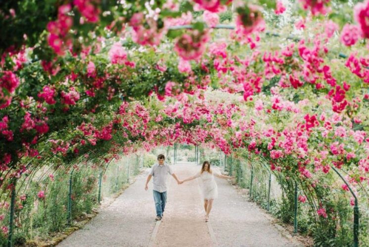 Point Defiance Flower & Garden Festival - Seattle's Child