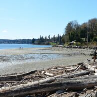 The beach at Quartermaster Harbor on Vashon Island.