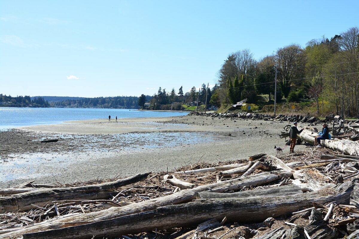 The beach at Quartermaster Harbor on Vashon Island.