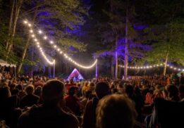 timber music festival