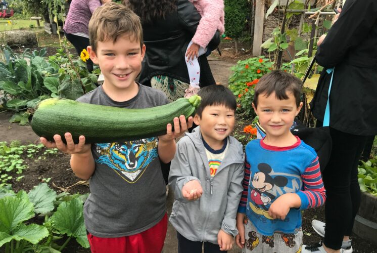 Children play together at Seattle PlayGarden’s inclusive summer free play program.