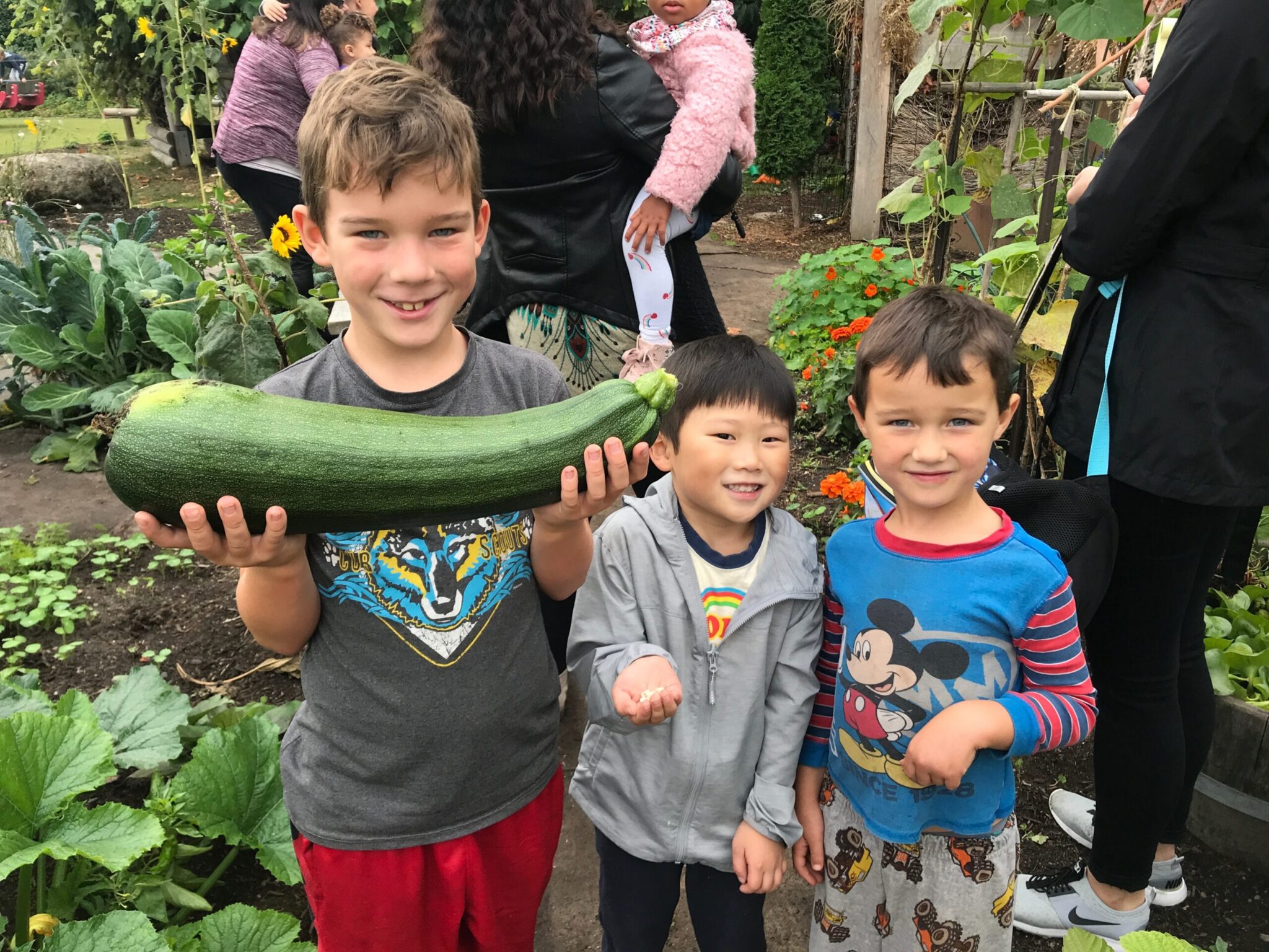 Children play together at Seattle PlayGarden’s inclusive summer free play program.