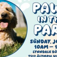 dogs in the park