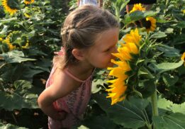 girl-smelling-sunflower-1