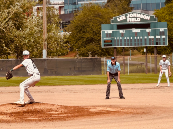 Youth baseball pitcher winding up on the mound with outfielders in position.
