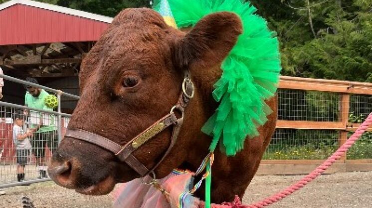 farm fair