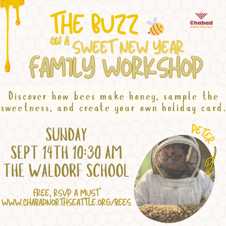 Seattle waldorf school