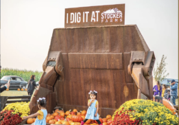 stocker farms farm festival