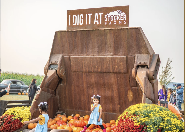 stocker farms farm festival