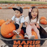 Two kids sitting on pumpkins in a wheelbarrow at Maris Farms in Buckley, Washington