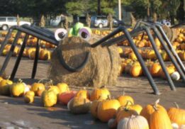 Spooner Farm Harvest Festival. (Photo courtesy: Spooner Farms)