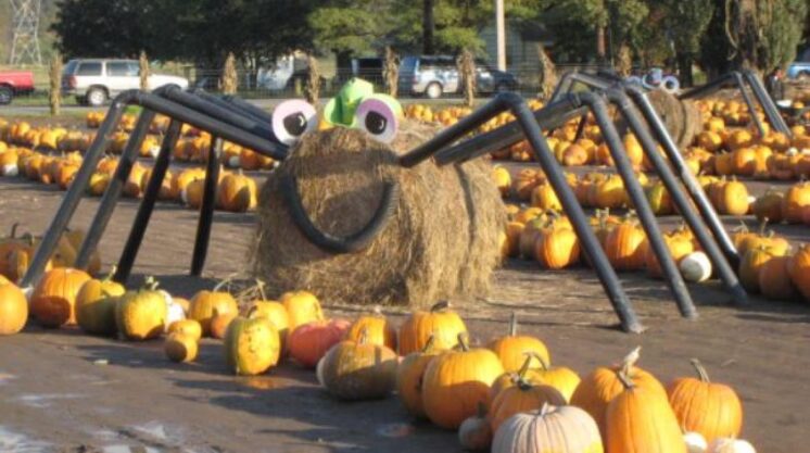 Spooner Farm Harvest Festival. (Photo courtesy: Spooner Farms)