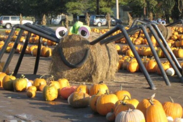 Spooner Farm Harvest Festival. (Photo courtesy: Spooner Farms)