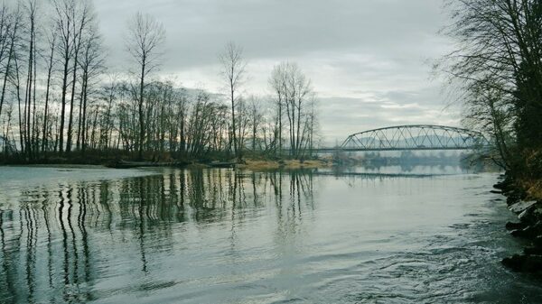 iew of the Snoqualmie River from Tolt-MacDonald Park in fall