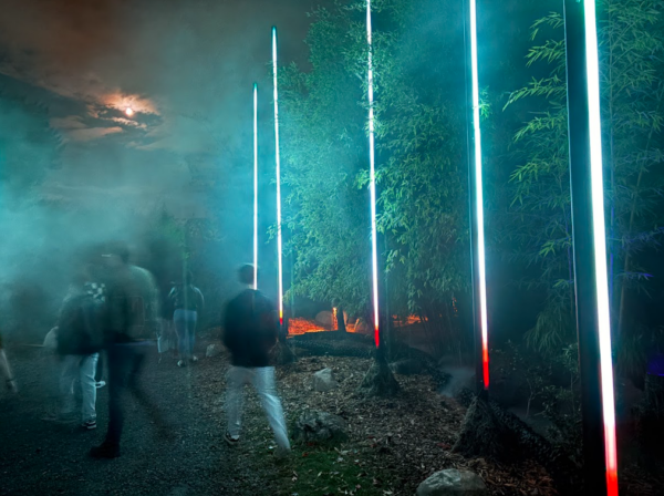 A misty, tree-lined path lit with eerie blue and green lights at Forest of Shadows.