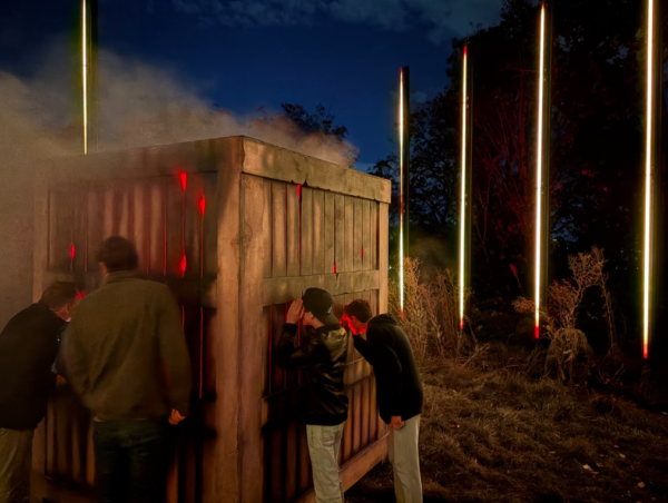 Two teens walk along a gravel trail surrounded by glowing light displays at Forest of Shadows.