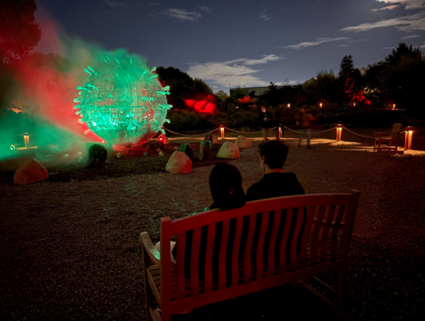 A bench sits along the Forest of Shadows trail, lit by colorful light projections in the trees.