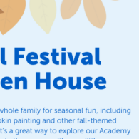 Bellevue Fall Festival Saturday, 1018