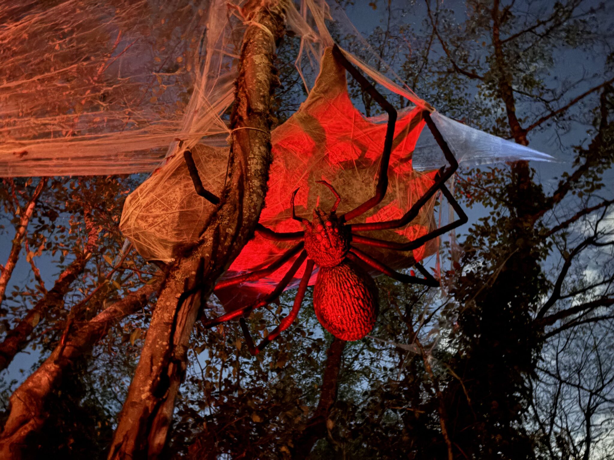 A giant spider prop hangs above the forest trail at Forest of Shadows.