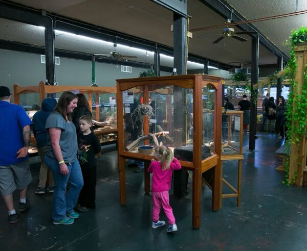 Interior view of the Reptile Zoo with glass tanks and reptile enclosures lining the walls.