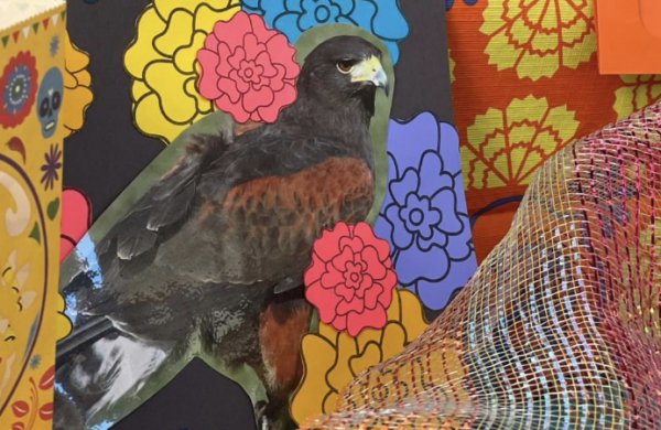 Día de Muertos bird