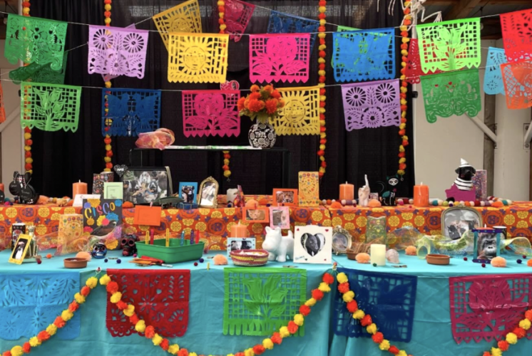 Woodland Park Zoo invites families to honor beloved pets and zoo animals during its Día de Muertos celebration, featuring a community ofrenda and mural art.